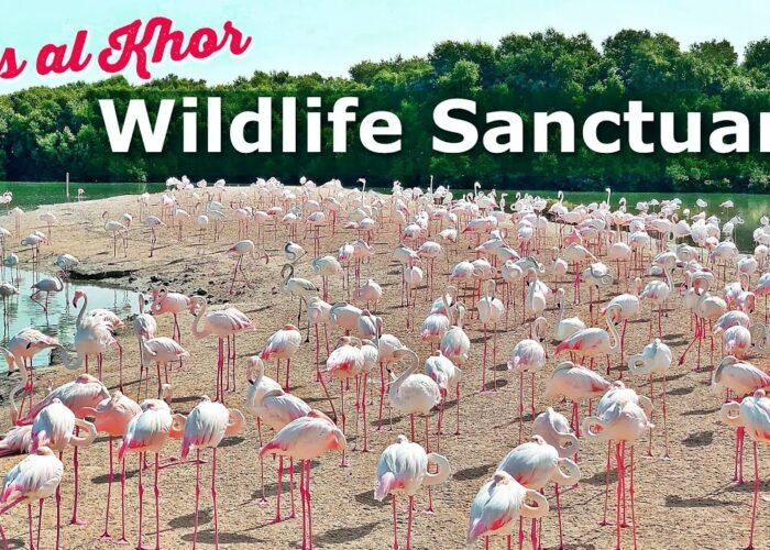 Ras Al Khor Wildlife Sanctuary